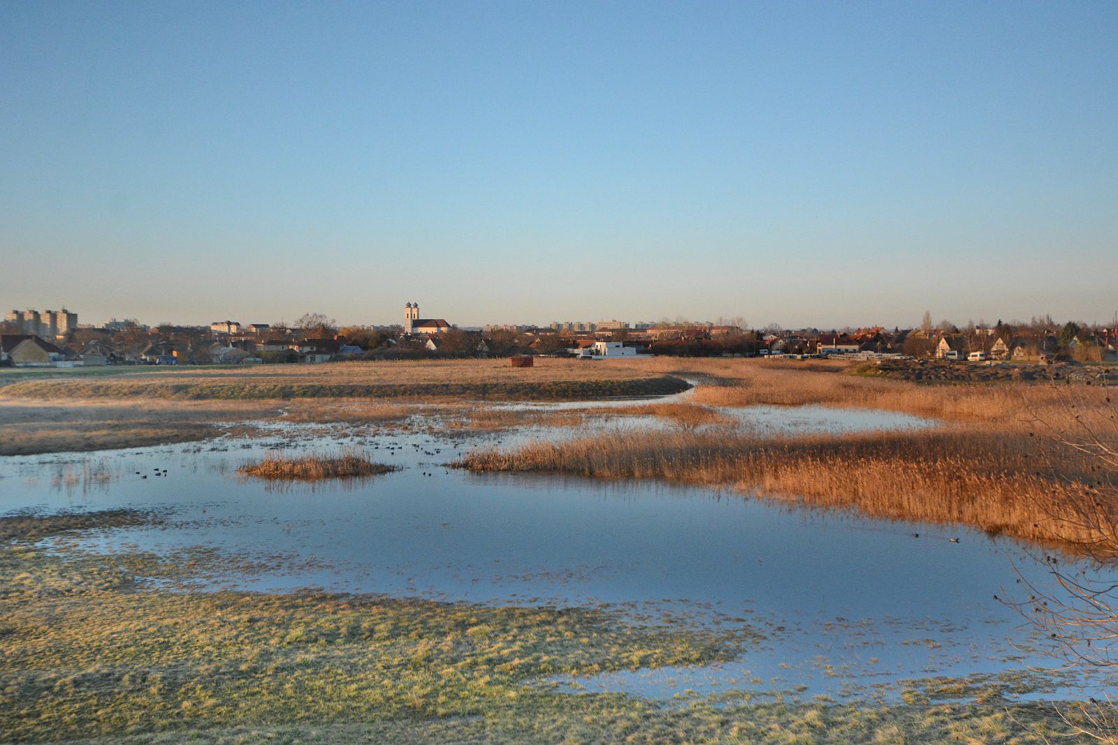 Őszi kalandozás Székesfehérvár védett szikes területén